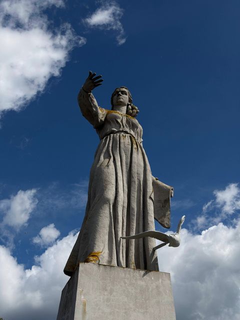 Сплав к матери