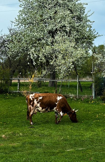 Беларусь